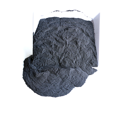 Silver Loaded Activated Charcoal